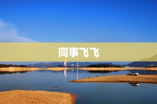 同事飞飞