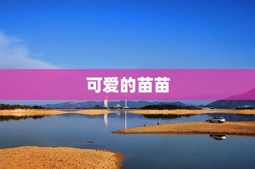可爱的苗苗