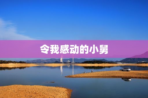 令我感动的小舅